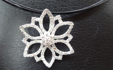 e88ab1e38080e68ba1e5a4a7e38080e696b0e696b0